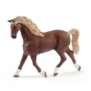 schleich HORSE CLUB Local de lavagem com Emily & Luna, Animal, Estábulo de cavalos, Cavalos, 5 ano(s), Multicolor, Plástico