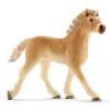 schleich Consultório veterinário com animais, Quinta, Animais da quinta / Brinquedo de quinta, 3 ano(s), Multicolor