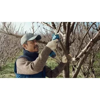 Bosch Pro Pruner Professional Tesoura de relva sem fio 2,5 cm 12 V iões de lítio (Li-Ion) preto, azul