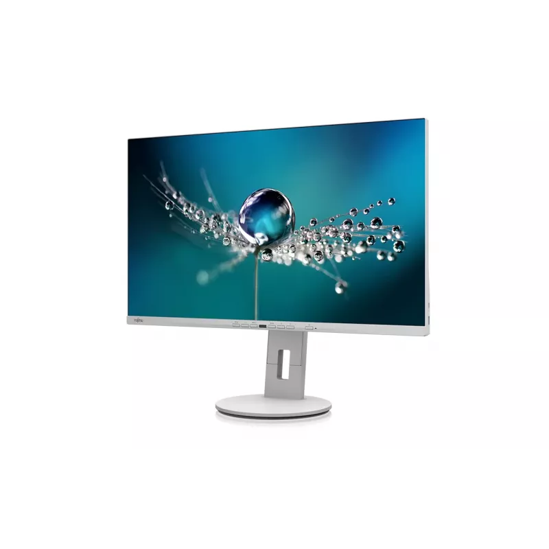 Fujitsu B2711 TE Monitor de computador FHD 68,6 cm (27