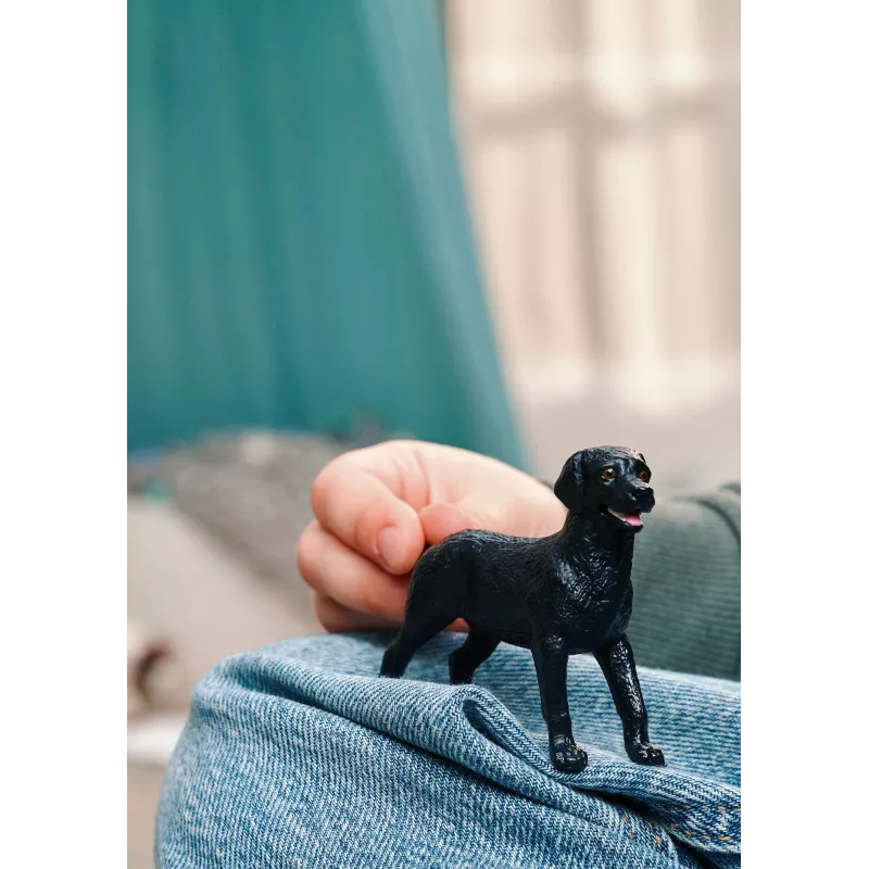schleich 14922 Figura de brincar para criança