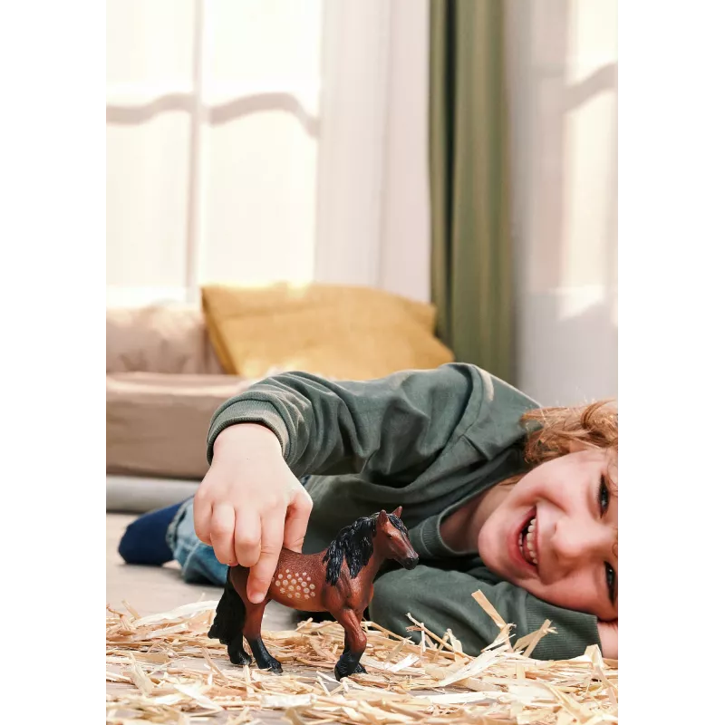 schleich FARM WORLD 14927 Figura de brincar para criança