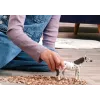 schleich BAYALA 14916 Figura de brincar para criança