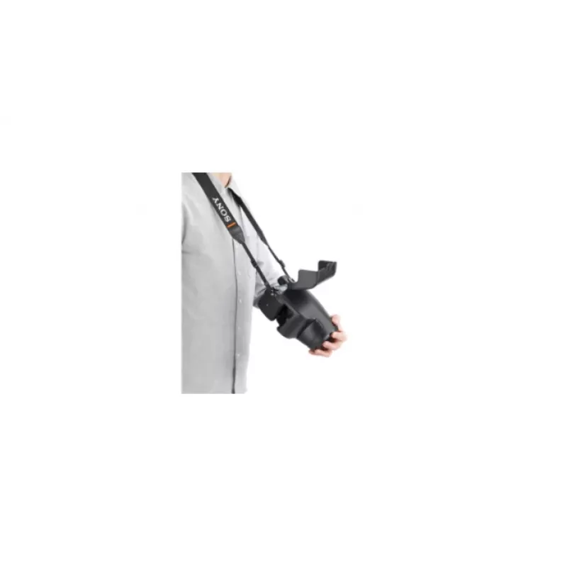 Sony LCJ-RXJ estojo rígido preto