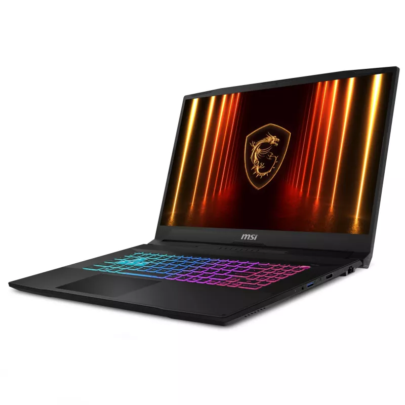 Portátil MSI Katana 17 HX B14WGK-061 17,3
