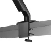 ASUS AAS01R 124,5 cm (49