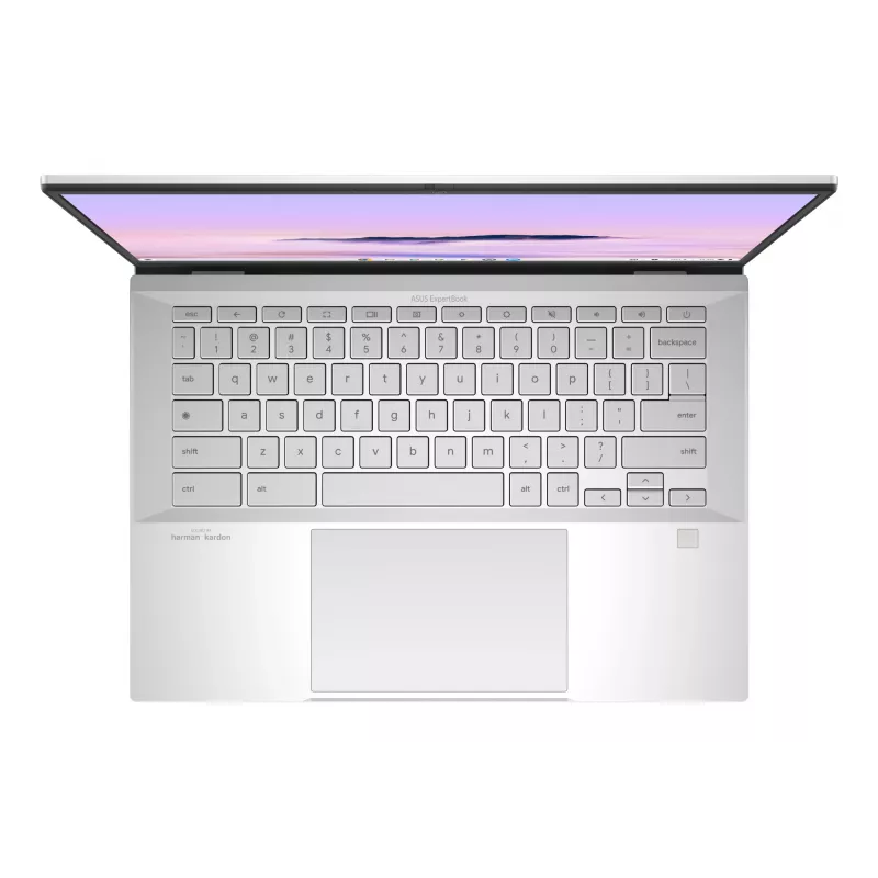 ASUS Chromebook Plus Enterprise CB54 CB5403CMA-QM0916 Intel Core Ultra 7 35,6 cm (14