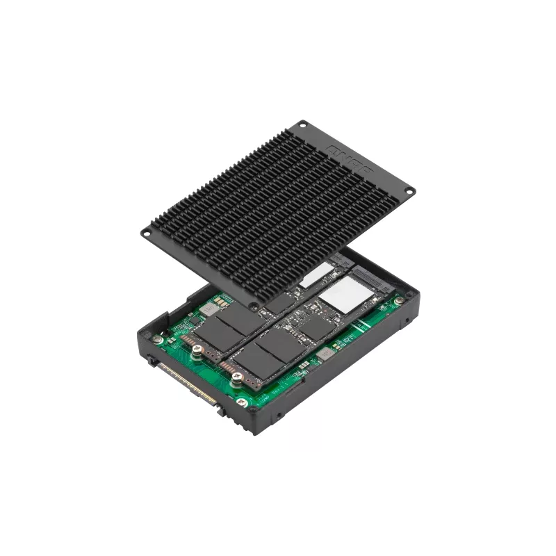 Caixa de armazenamento QNAP QDA-U2MP Caixa para SSD Preto M.2