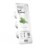 Recipiente de plantação EMSA Click & Grow
