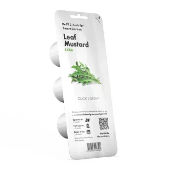 Recipiente de plantação EMSA Click & Grow