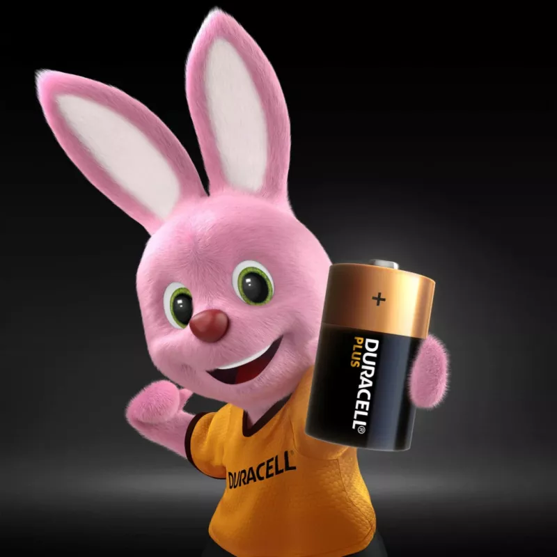Pilha descartável Duracell Plus D Alcalina