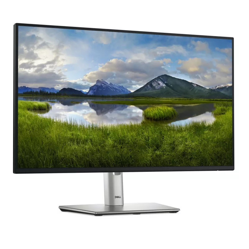 DELL Pro Plus P2425H Monitor de computador 60,5 cm (23,8