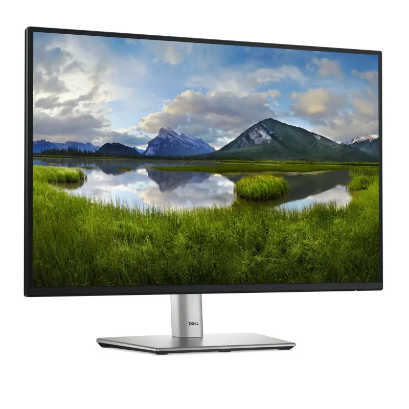DELL Pro Plus P2425 Monitor de computador 61,1 cm (24,1 inch) 1920 x 1200 píxeis WUXGA LCD preto