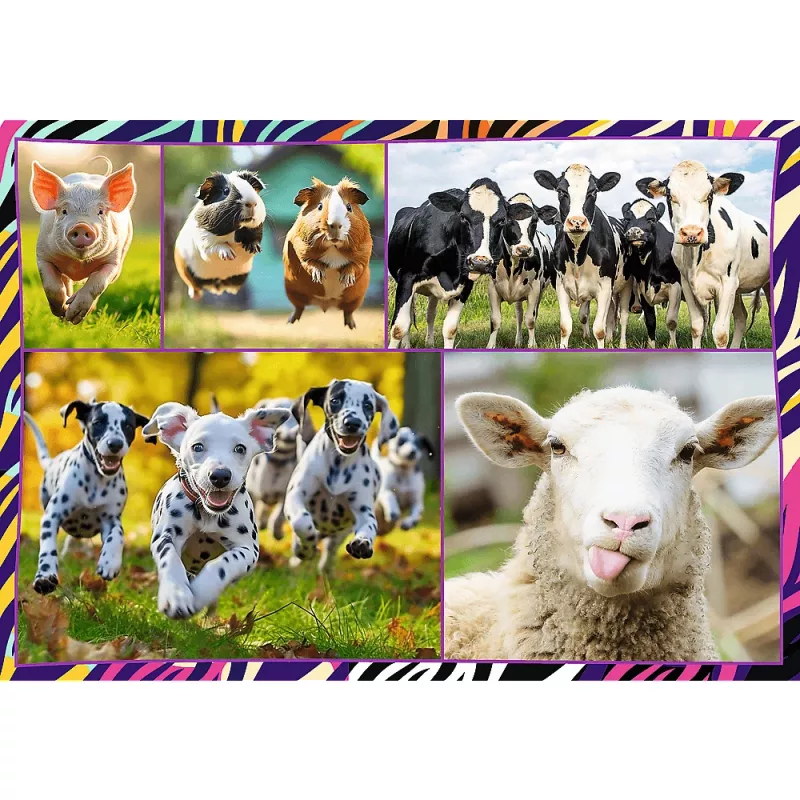 Puzzle TREFL Funny — 4 x 250 peças, conjunto temático para crianças