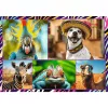 Puzzle TREFL Funny — 4 x 250 peças, conjunto temático para crianças