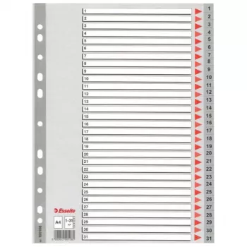 Índice Esselte 1-31 PP A4 cinzento, separador numérico, polipropileno (PP), A4, 225 mm, 297 mm, 1 unid.