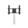 Suporte de chão para ecrã único MULTIBRACKETS M Public Display – preto, suporta até 60 kg, VESA 200x200–800x400