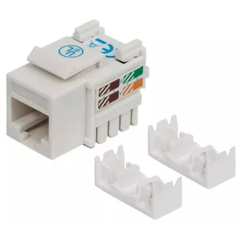 Tomada Keystone Intellinet, Cat6, UTP, LSA, branco, plano, branco, RJ-45, ficha fêmea, 22/26, Cat6