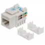 Tomada Keystone Intellinet, Cat6, UTP, LSA, branco, plano, branco, RJ-45, ficha fêmea, 22/26, Cat6