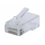 Intellinet 791090 Conector de Fio RJ45 Transparente