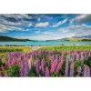 Clementoni High Quality Collection 31731 Puzzle 1500 peças Paisagem