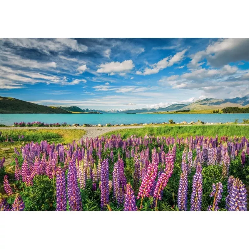 Clementoni High Quality Collection 31731 Puzzle 1500 peças Paisagem