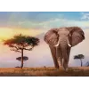 Clementoni African Sunset Puzzle 500 peças Animais