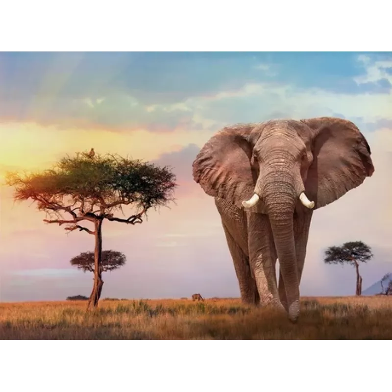 Clementoni African Sunset Puzzle 500 peças Animais