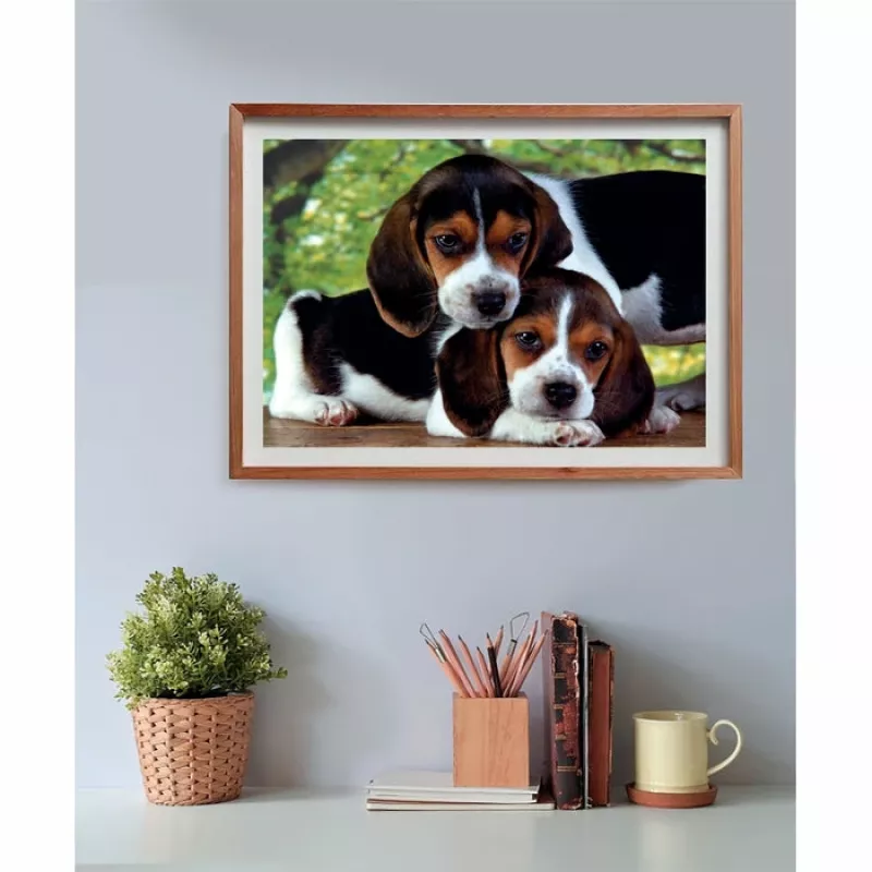 Clementoni High Quality Collection Close Together Puzzle 500 peças Animais