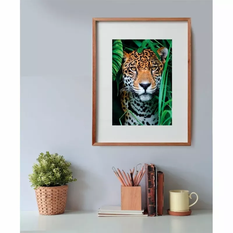 Clementoni High Quality Collection Jaguar na selva Puzzle 500 peças Animais