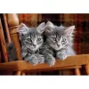 Clementoni High Quality Collection 35580 Puzzle 500 peças Animais