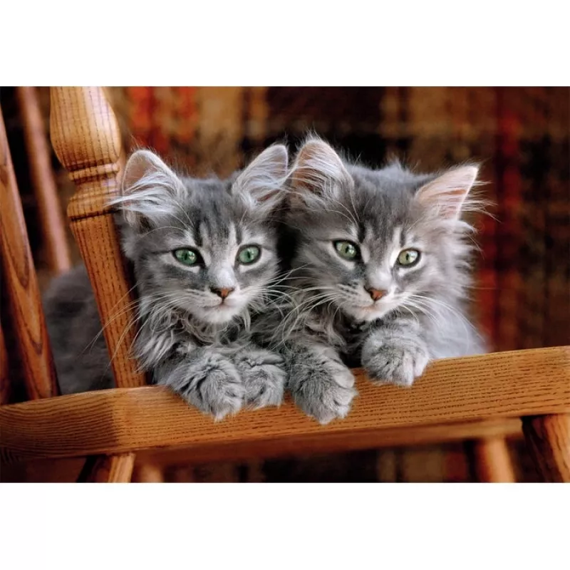 Clementoni High Quality Collection 35580 Puzzle 500 peças Animais
