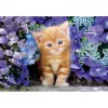 Clementoni High Quality Collection 35585 Puzzle 500 peças Animais