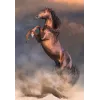 Clementoni 500 peças CB HQC Wild Red Stallion
