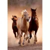 Clementoni Running Horses Puzzle 1000 peças Animais