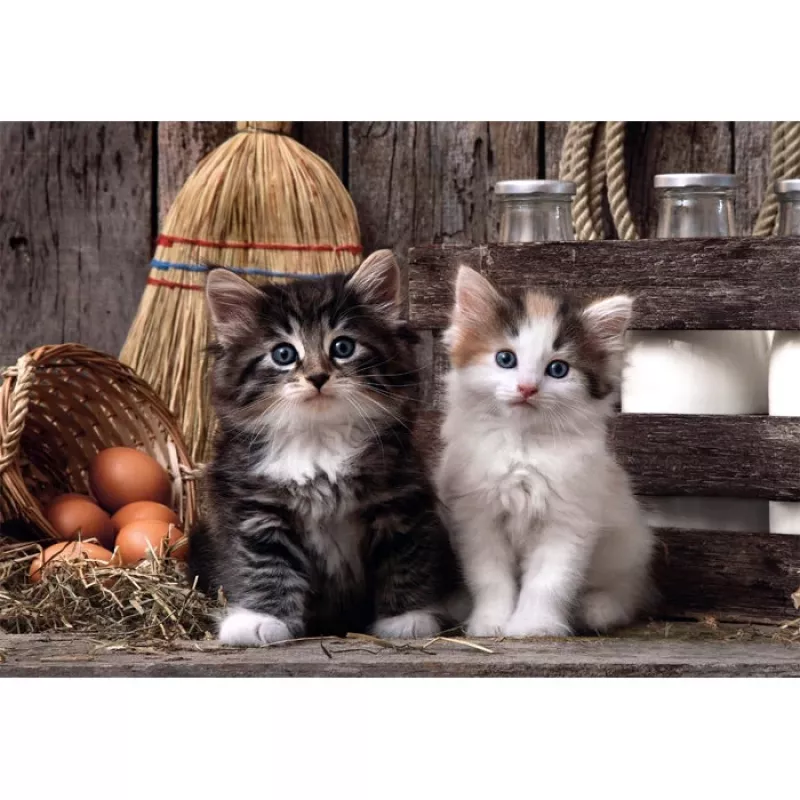 Clementoni High Quality Collection 39943 Puzzle 1000 peças Animais