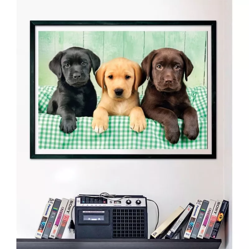 Clementoni High Quality Collection 39946 Puzzle 1000 unid. Animais