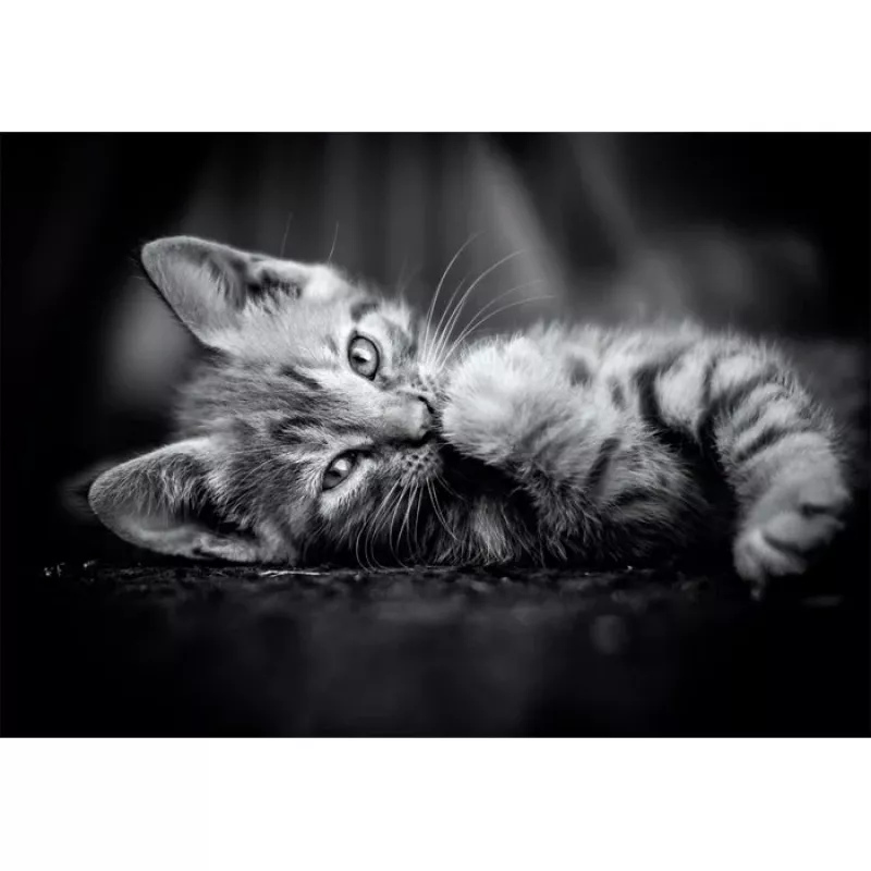Clementoni High Quality Collection 39950 Puzzle 1000 unid. Animais