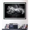 Clementoni High Quality Collection 39950 Puzzle 1000 unid. Animais