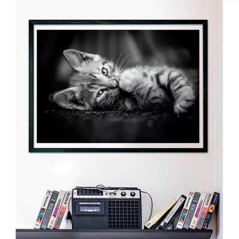 Clementoni High Quality Collection 39950 Puzzle 1000 unid. Animais