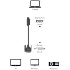 Adaptador de cabo de vídeo Techly ICOC DSP-C12-030P 3 m DisplayPort DVI-D preto