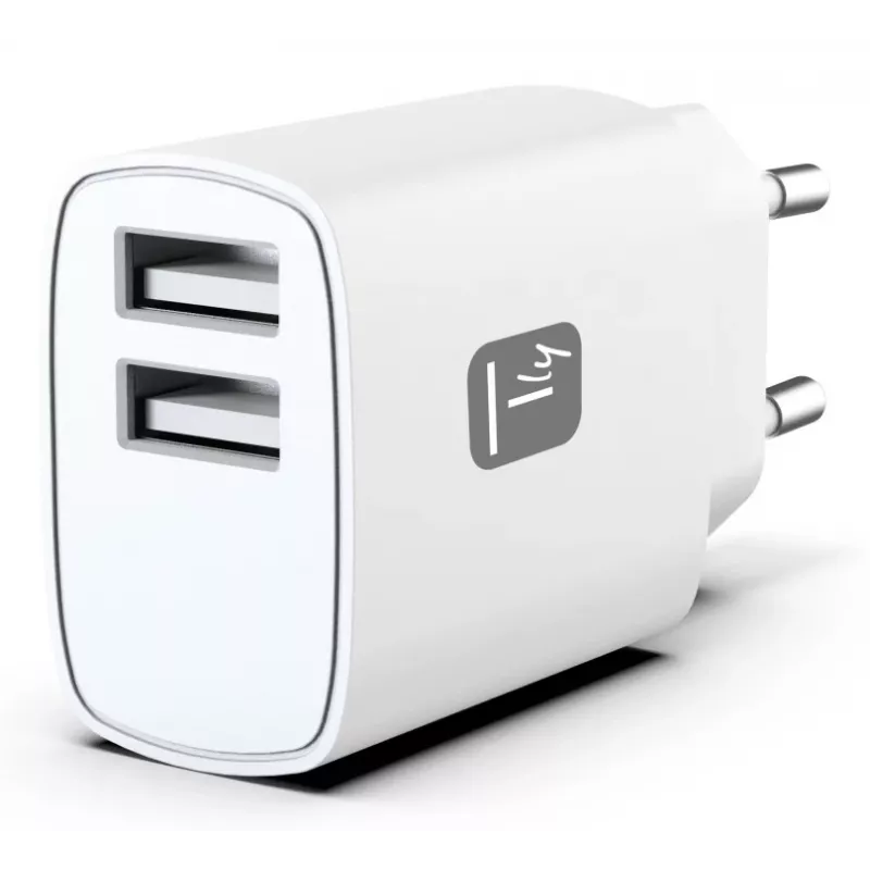 Techly IPW-USB-12W2A Carregador para dispositivos móveis Auscultadores, Altifalante portátil, Powerbank, Smartphone, Tablet Branco AC Interior