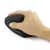 Techly IM 1200-VM-B Rato Médico Destro RF Wireless Ótico 1600 DPI