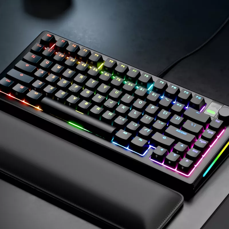 Glorious Gaming GMMK 3 PRO 75% Prebuilt com fios preto - FR, com fios, USB, mecânico, AZERTY, RGB LED, preto