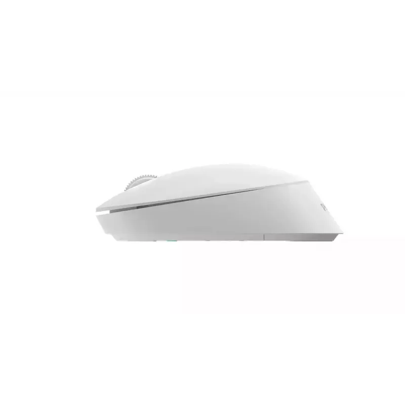 Rato de escritório Philips SPK7307W/00 ambidestro RF sem fios ótico 1600 DPI branco