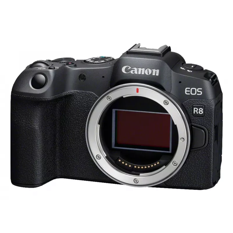 Canon EOS R8 + RF 24-105mm F4-7.1 IS STM MILC 24,2 MP CMOS 6000 x 4000 píxeis preto