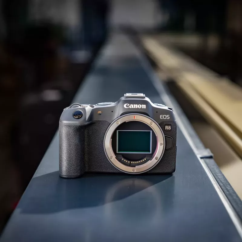 Canon EOS R8 + RF 24-105mm F4-7.1 IS STM MILC 24,2 MP CMOS 6000 x 4000 píxeis preto