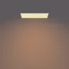 Plafonier Philips Functional Panel Ceiling 36 W retangular