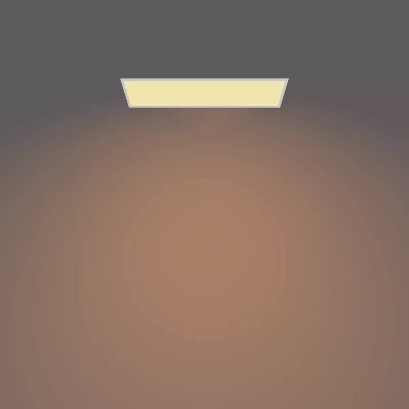 Plafonier Philips Functional Panel Ceiling 36 W retangular