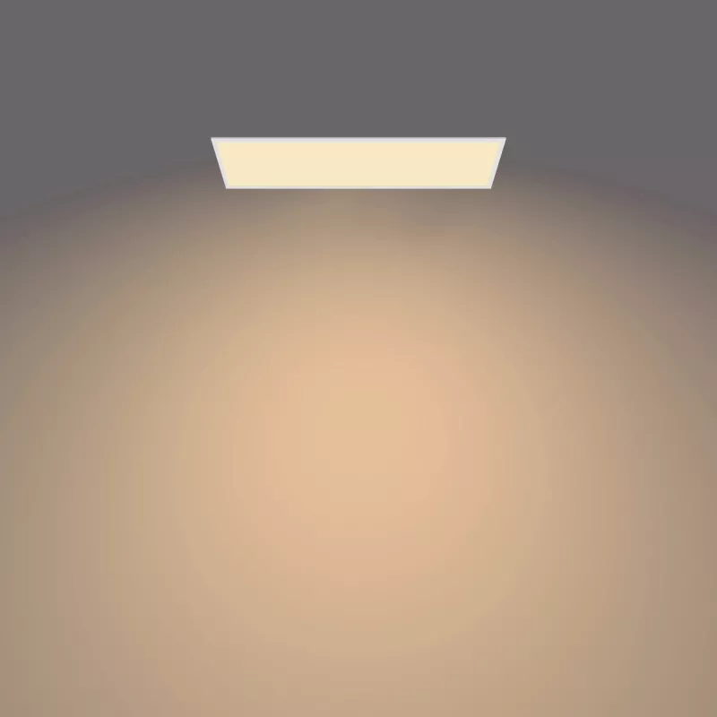 Plafonier Philips Functional Panel Ceiling 36 W retangular